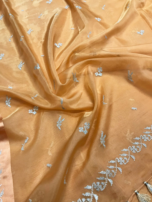 Peach Organza Periwinkle Kasuti Saree