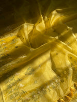 Load image into Gallery viewer, Beige organza kasuti saree with zari motifs across soft sheer fabric
