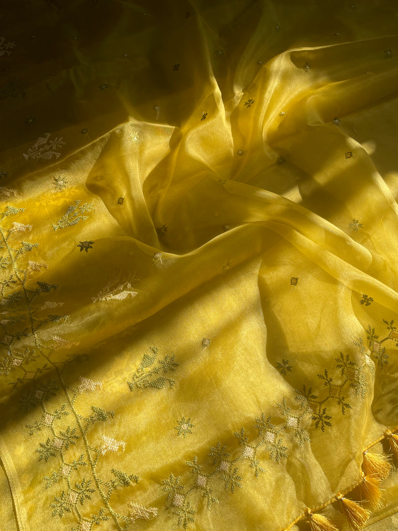 Beige organza kasuti saree with zari motifs across soft sheer fabric