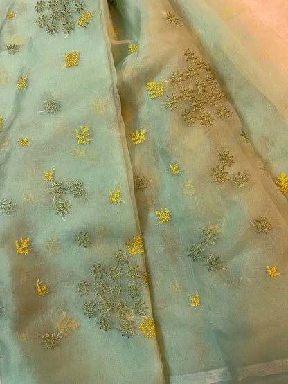 Pista Flowers in the Wind Kasuti Organza Saree