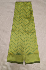 Load image into Gallery viewer, Mehendi green kanta stripes blouse sleeve embroidery close-up
