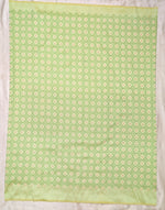 Load image into Gallery viewer, Light green chaya kasuti blouse back neckline with embroidered motifs
