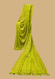 Lime green kasuti saree with classic embroidery and textured weave