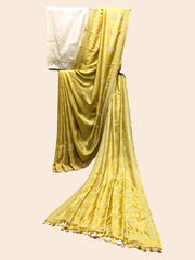 Classic Kasuti Saree